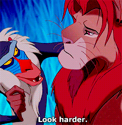 tumblr_naw6xq2jQk1roemslo1_250.gif