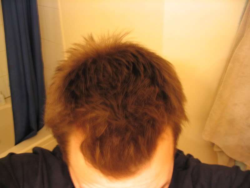 pet344343048.jpg