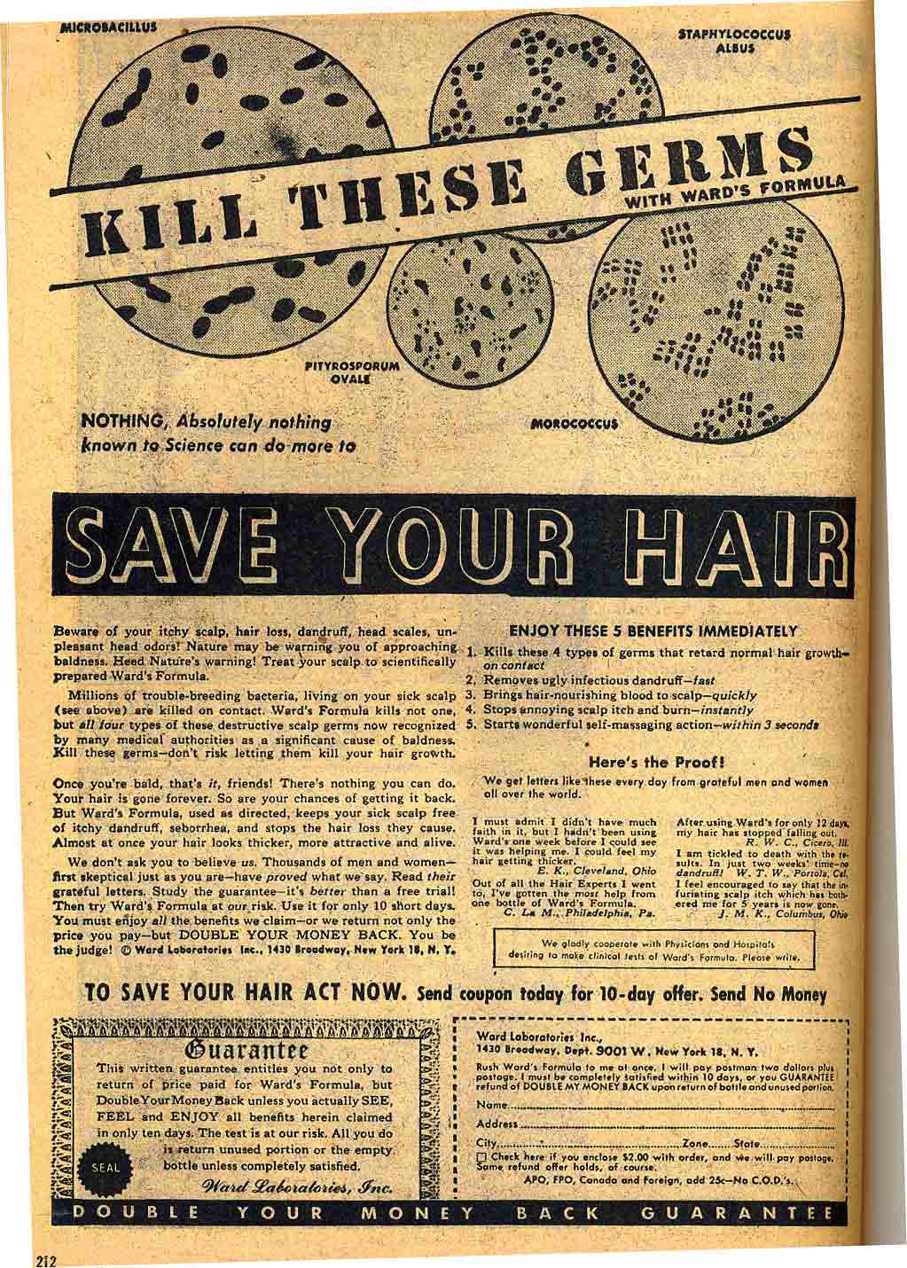 coc+hair.jpg