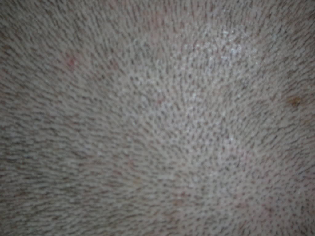 DSCN0915.jpg