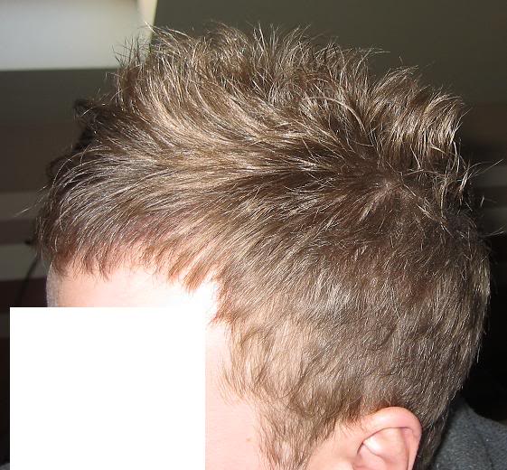 JAN2010ht1.jpg