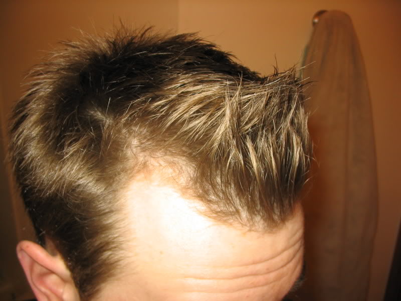 pet344343052.jpg