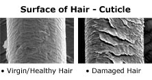 allabouthair_img_cuticle.jpg