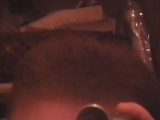 041.jpg