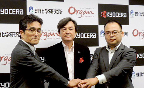 Kyocera Tsuji Hair Loss