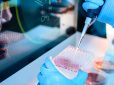 Kyocera to Begin Regenerative Hair Loss Treatment Research