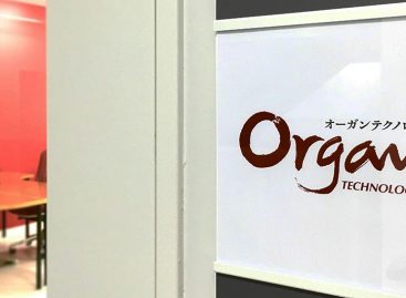 Potential Hair Loss Cure Coming in 2020?