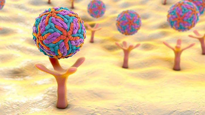 Receptor Site