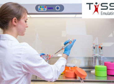 TissUse Smart Hair Transplants – Next Generation Hair Transplant?
