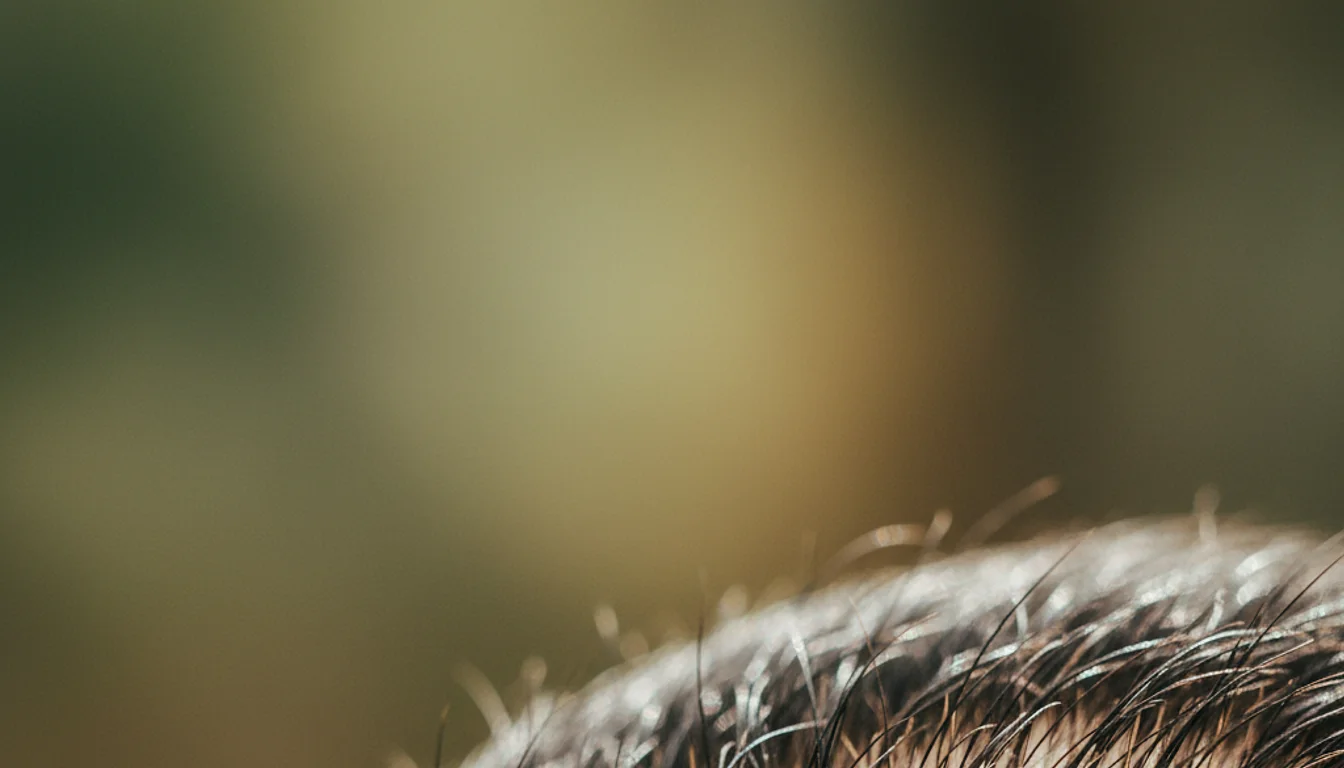 I Stopped Searching and Started Regrowing: My 2-Year Hair Growth Journey with Roman